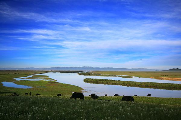 我们不是诗人，但我们依然会一起去远方